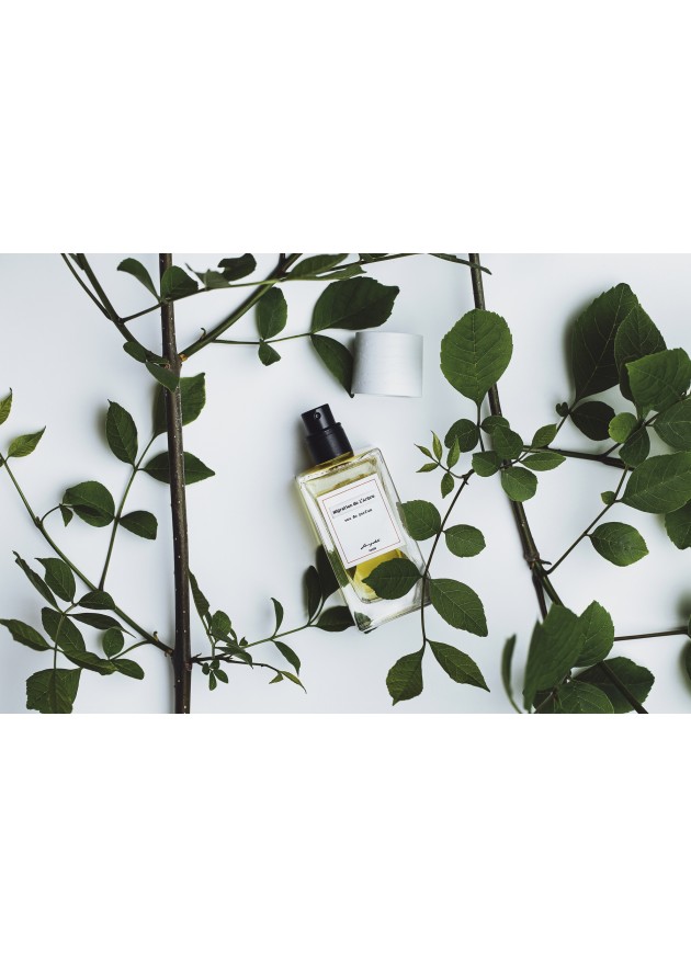 фотография Fragrance Migration de L’Arbre - Міграція дерева 3