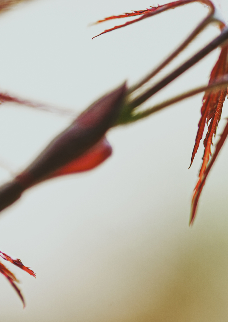 homepage-banner