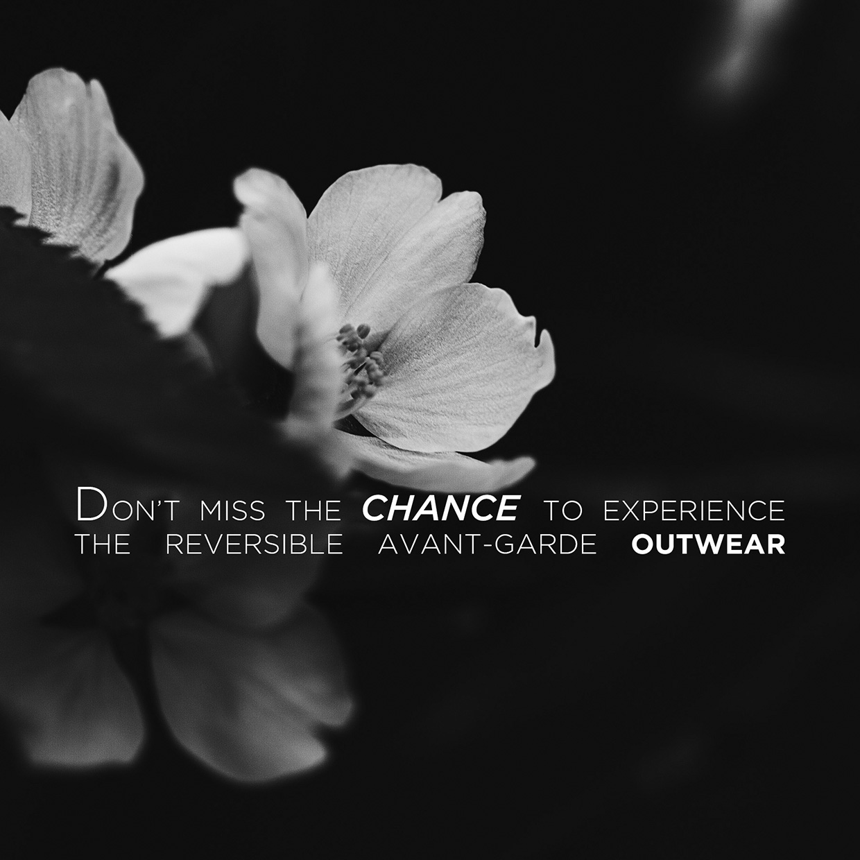 homepage-banner