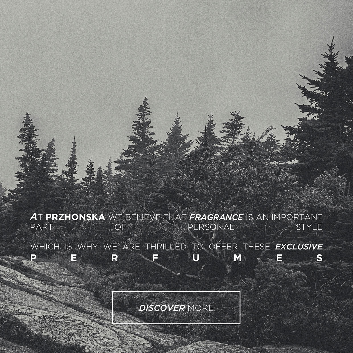 homepage-banner